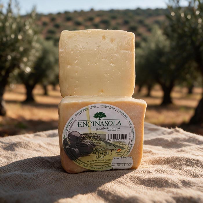 Queso de oveja añejo aove Encinasola